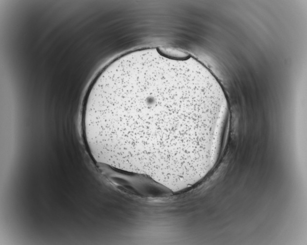 X0000093490904200711091642