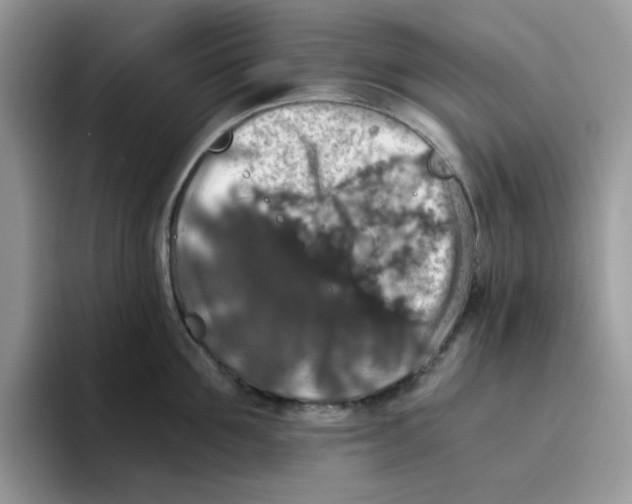 X0000093490907200711091642