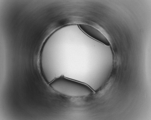 X0000093490909200711091642