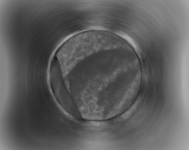 X0000093490910200711091642