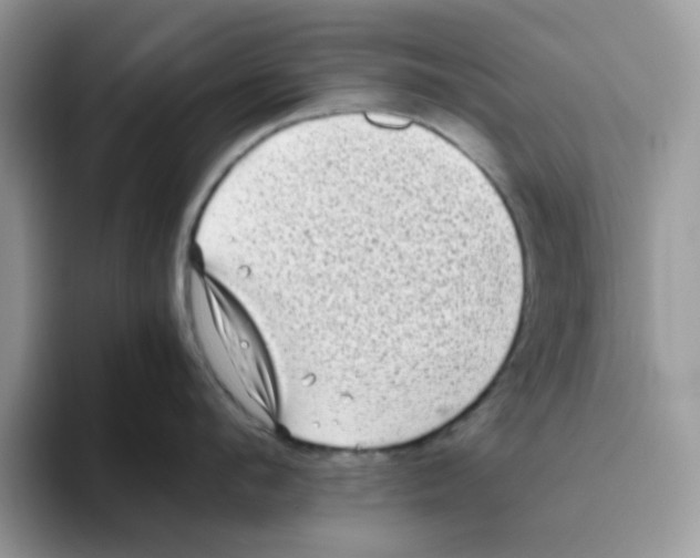 X0000093490912200711091642