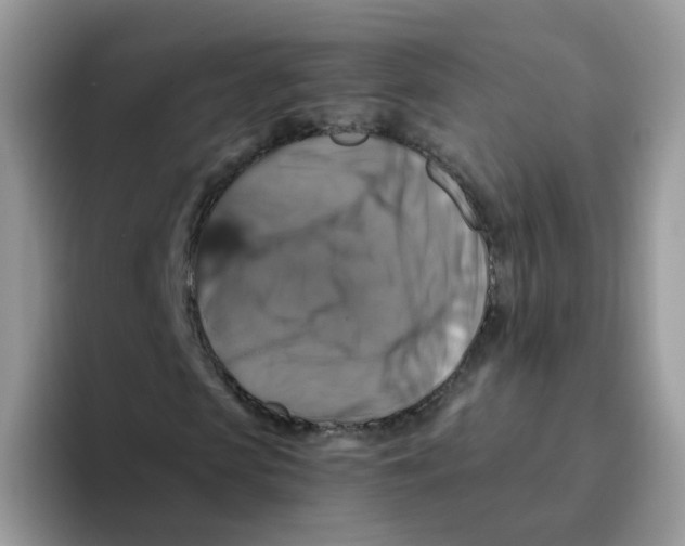 X0000093490913200711091642