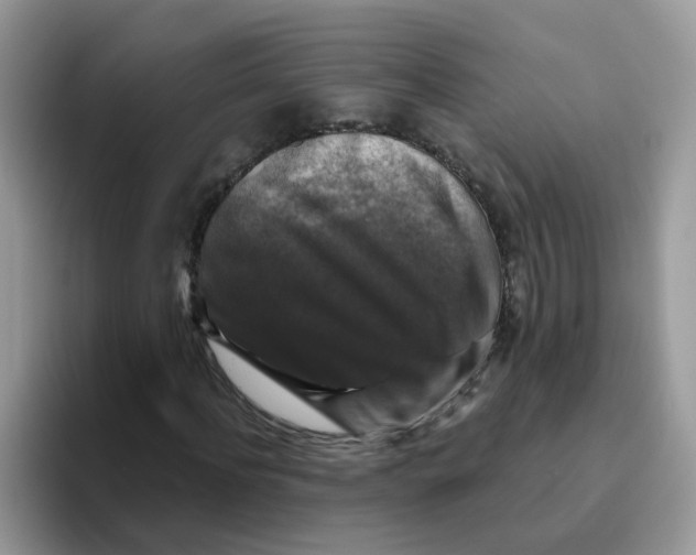 X0000093490916200711091642