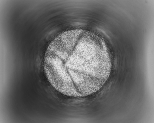 X0000093490917200711091642