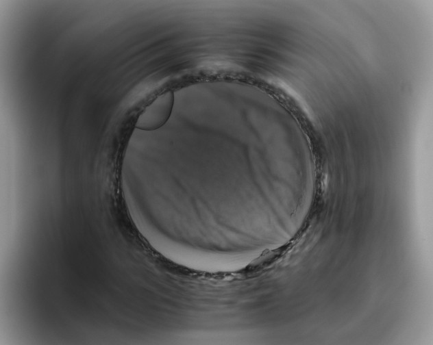 X0000093490919200711091642