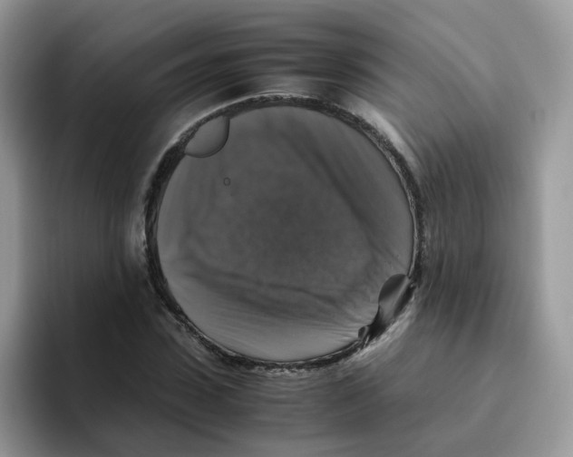 X0000093490923200711091642