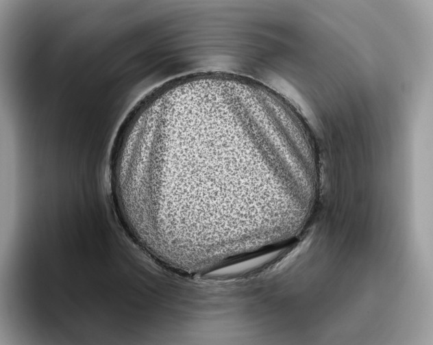 X0000093490924200711091642