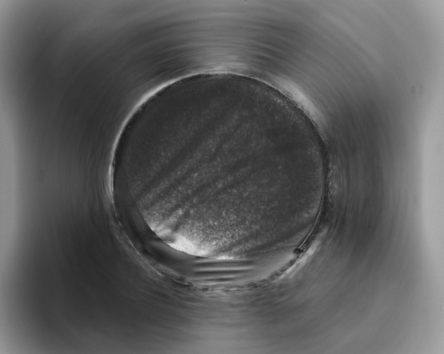 X0000093490932200711091642