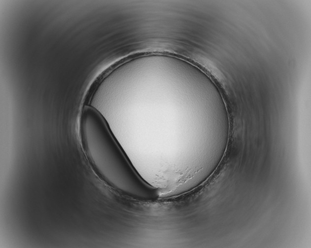 X0000093490936200711091642