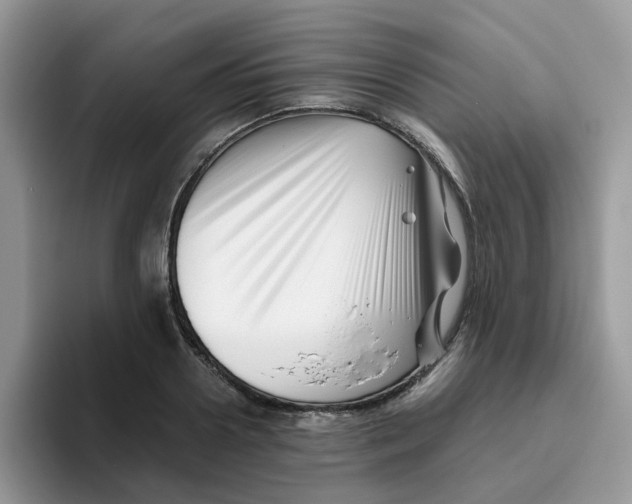 X0000093490938200711091642