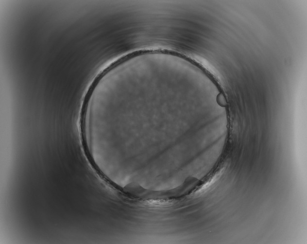 X0000093490943200711091642