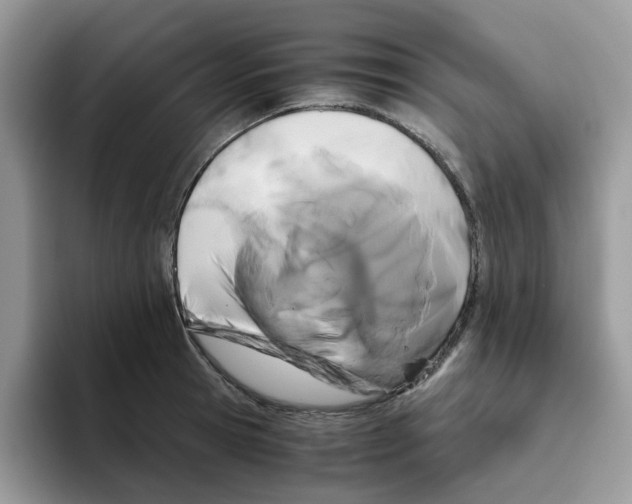 X0000093490945200711091642