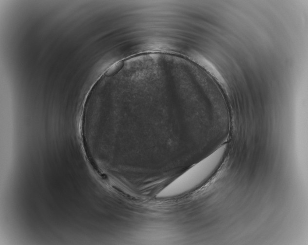 X0000093490946200711091642