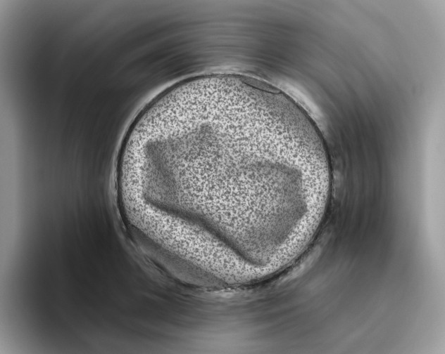 X0000093490948200711091642