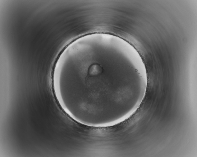 X0000093490950200711091642