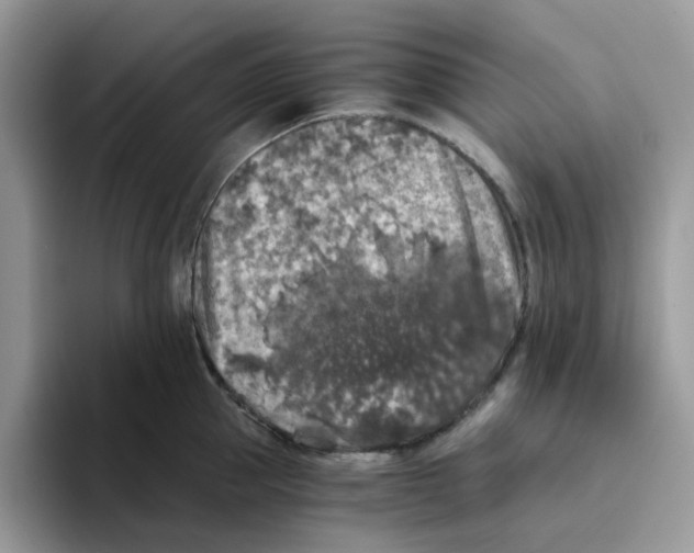 X0000093490953200711091642