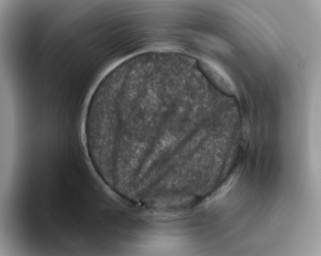 X0000093490959200711091642