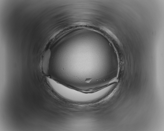 X0000093490969200711091642