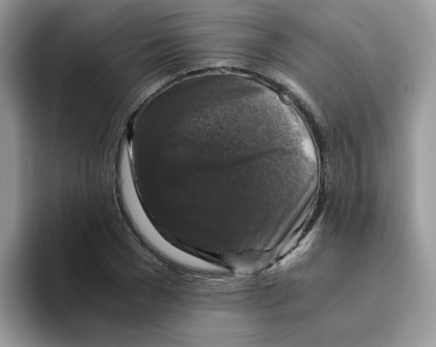 X0000093490977200711091642