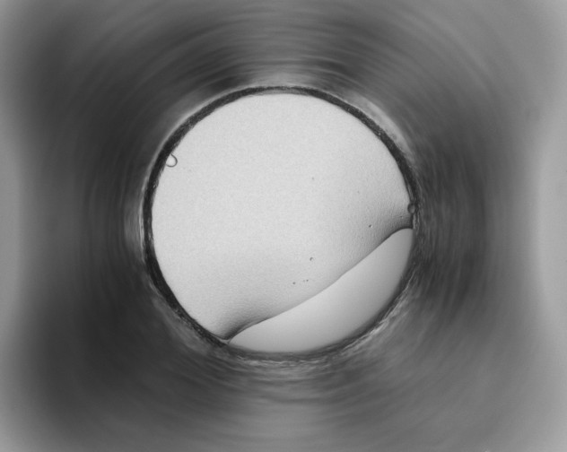 X0000093490980200711091641