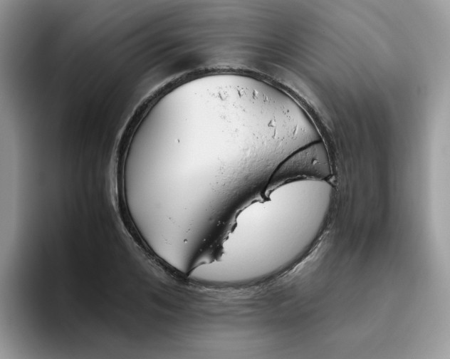 X0000093490984200711091641