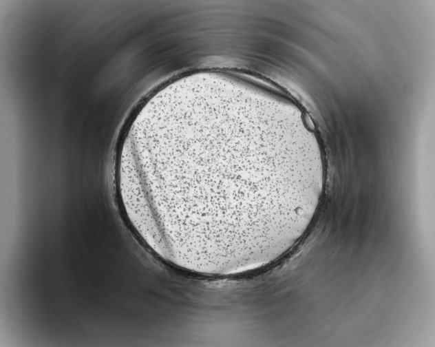 X0000093490992200711091641