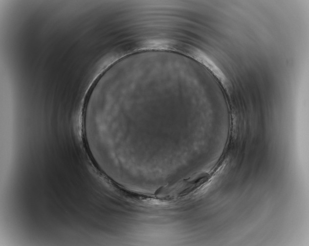 X0000093490994200711091641