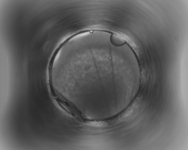 X0000093490998200711091641