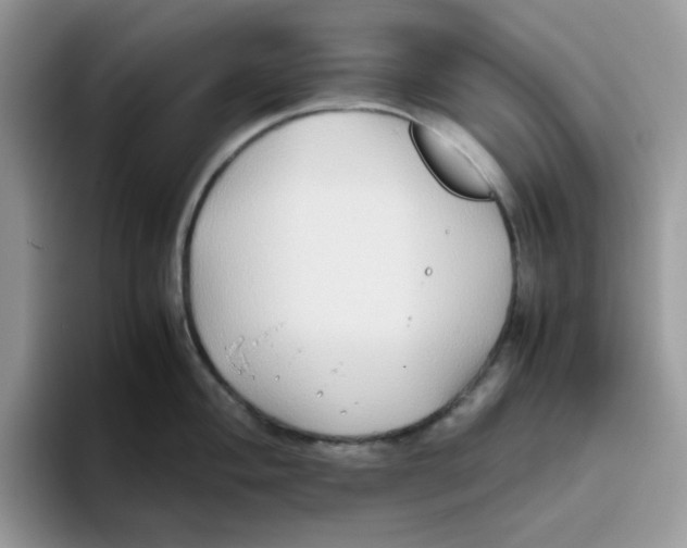 X0000093491004200711091641