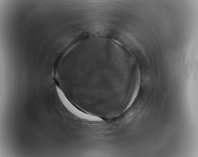 X0000093491010200711091641