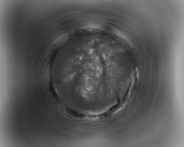 X0000093491014200711091641