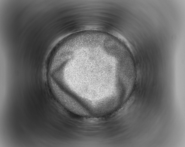 X0000093491019200711091641