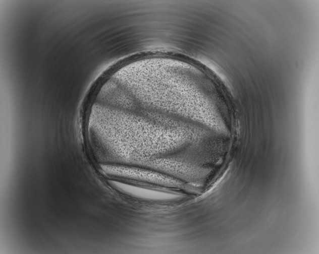 X0000093491022200711091641