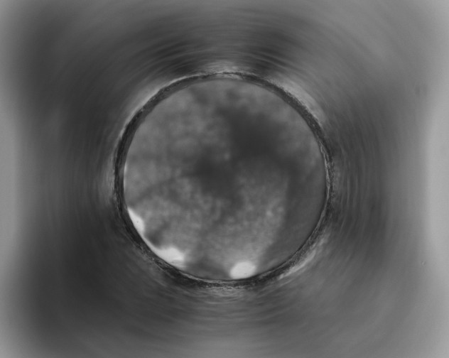 X0000093491023200711091641