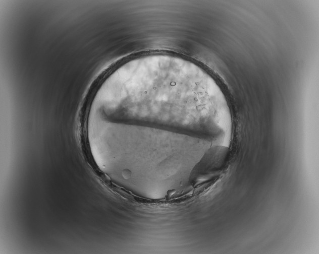 X0000093491024200711091641