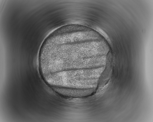 X0000093491028200711091641