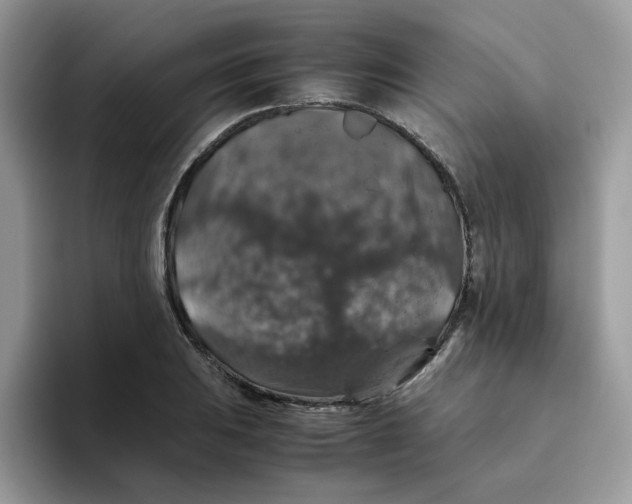 X0000093491031200711091641