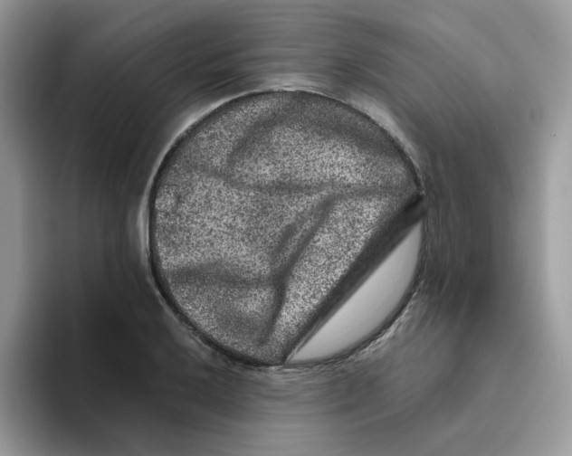 X0000093491032200711091641