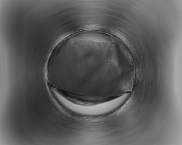 X0000093491034200711091641