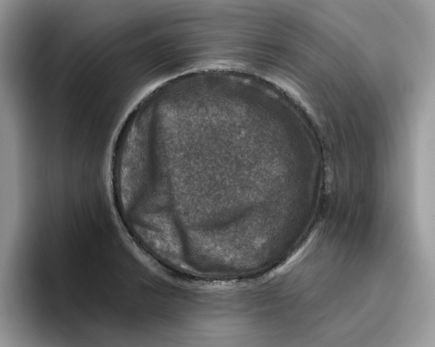 X0000093491038200711091641