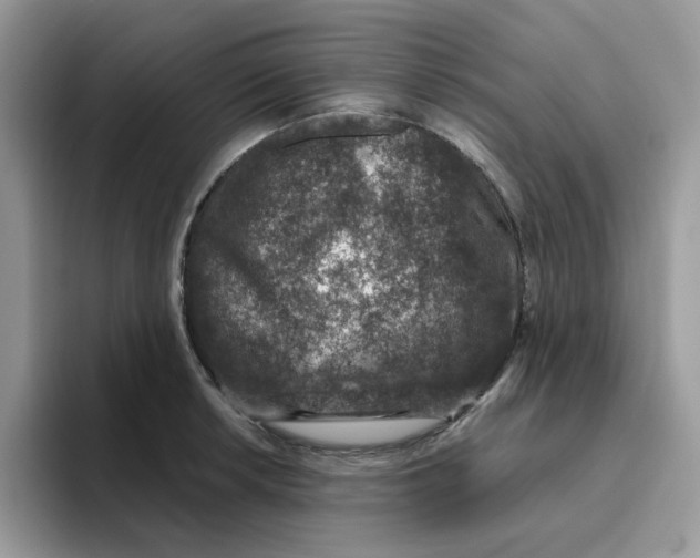 X0000093491042200711091641