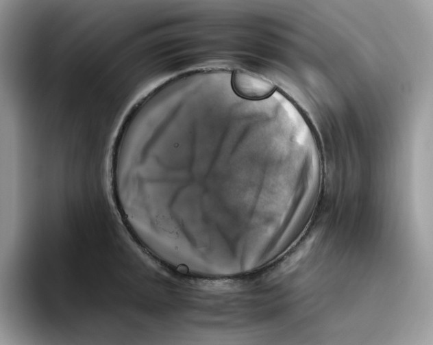 X0000093491045200711091641