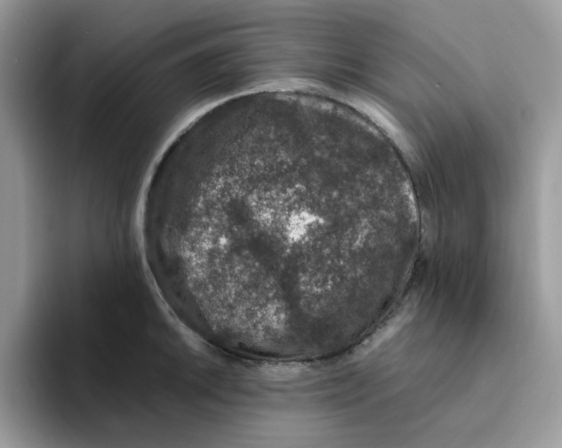 X0000093491046200711091641