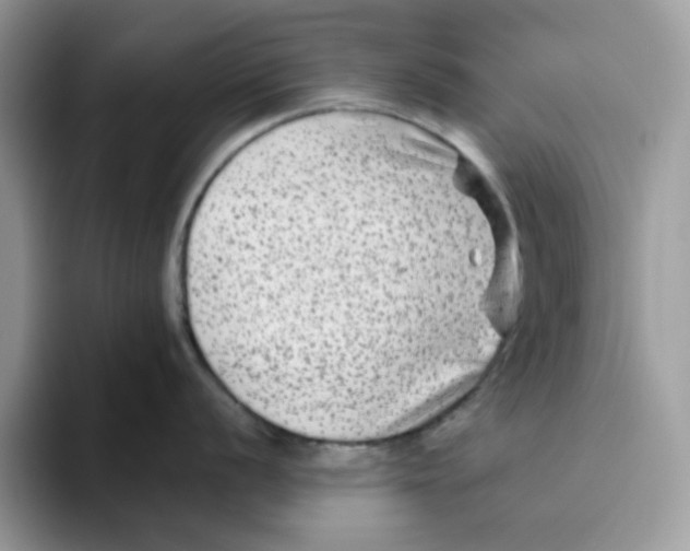 X0000093491056200711091641