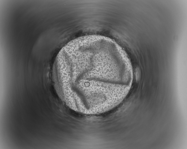 X0000093491059200711091641