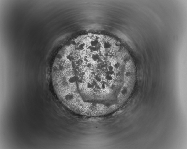 X0000093491063200711091641