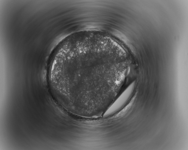 X0000093491066200711091640