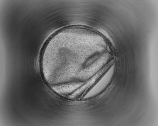 X0000093491068200711091640