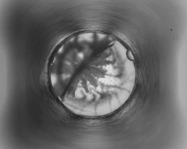 X0000093491071200711091640