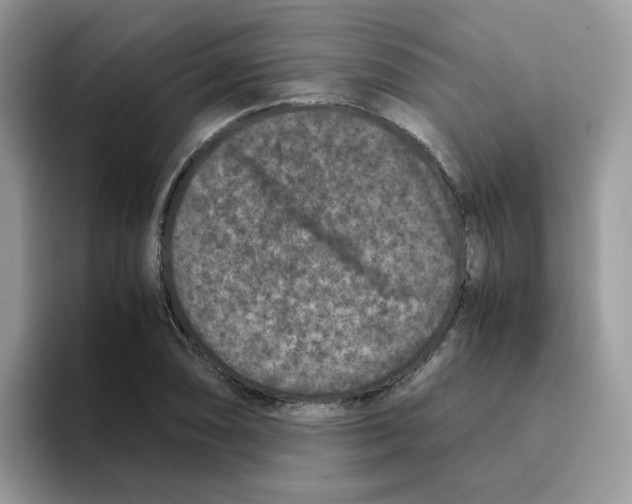 X0000093491074200711091640